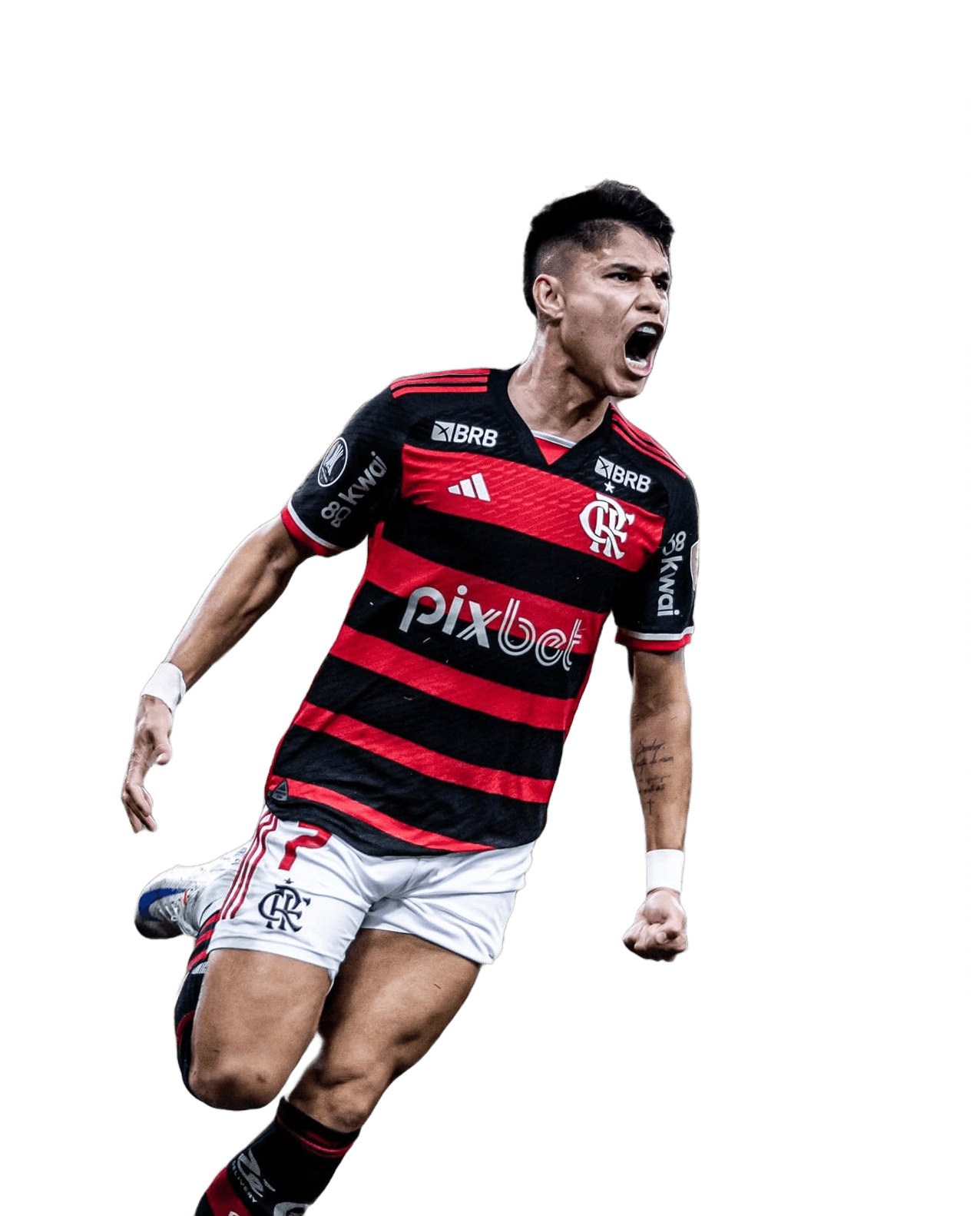 Luiz Araújo